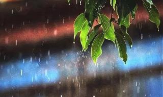入伏下雨有什么说法吗