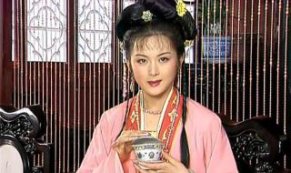 红楼梦之金玉良缘百科