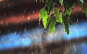 三伏天会下雨吗 入伏下雨有什么说法吗