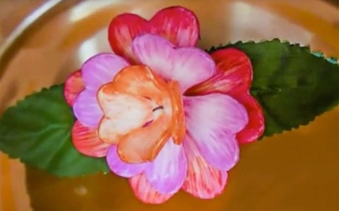 塑料花朵盛开得益于其自己的内部分子钟