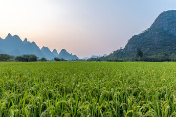 ca8122航班遇颠簸什么原因 国航就CA8122航班颠簸致歉