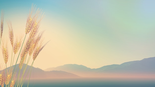 AdobePhotoshopCS3怎样修改文字 AdobePhotoshopCS3